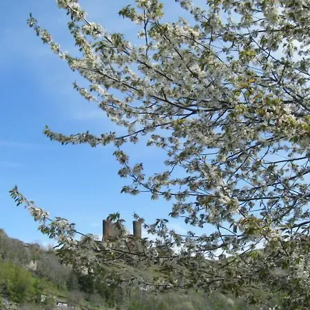 Oda ve Kahvaltı L'atelier S