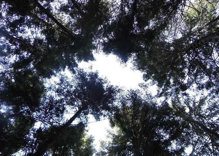 Alojamento de Acomodação e Pequeno-almoço L'atelier S